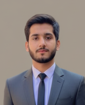 Portrait of Haider Ali